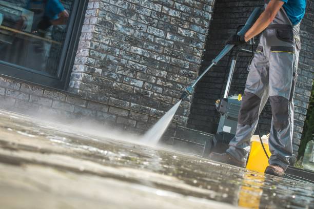 Best Soft Washing  in Raymond, IL