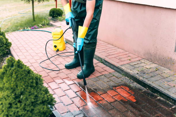 Best Animal Enclosure Cleaning  in Raymond, IL