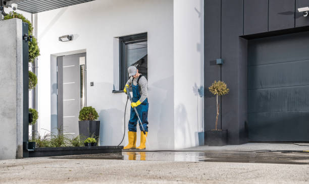 Best Graffiti Removal  in Raymond, IL