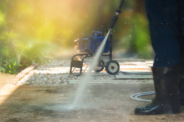 Best Soft Washing  in Raymond, IL